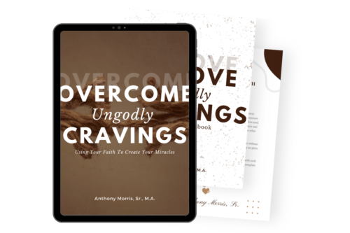 cravings bundle