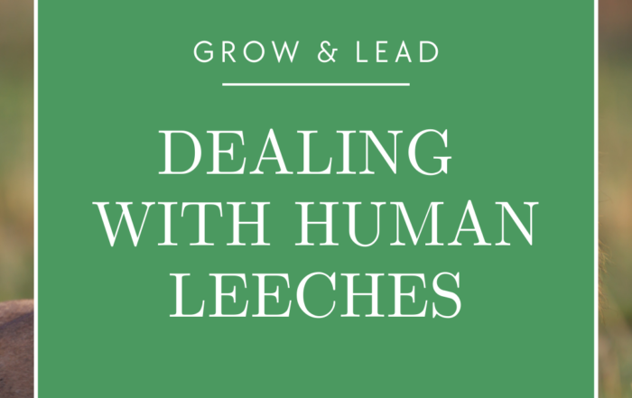 dealing with human leeches post