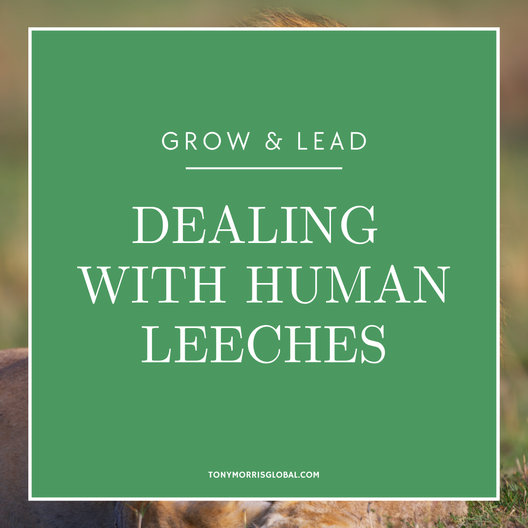 dealing with human leeches post