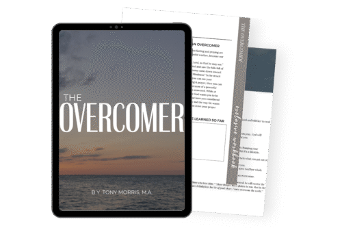 The Overcomer ebook