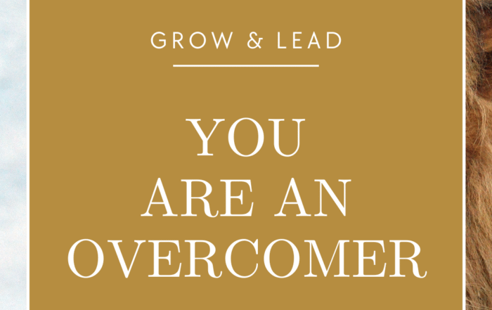 you are an overcomer blog